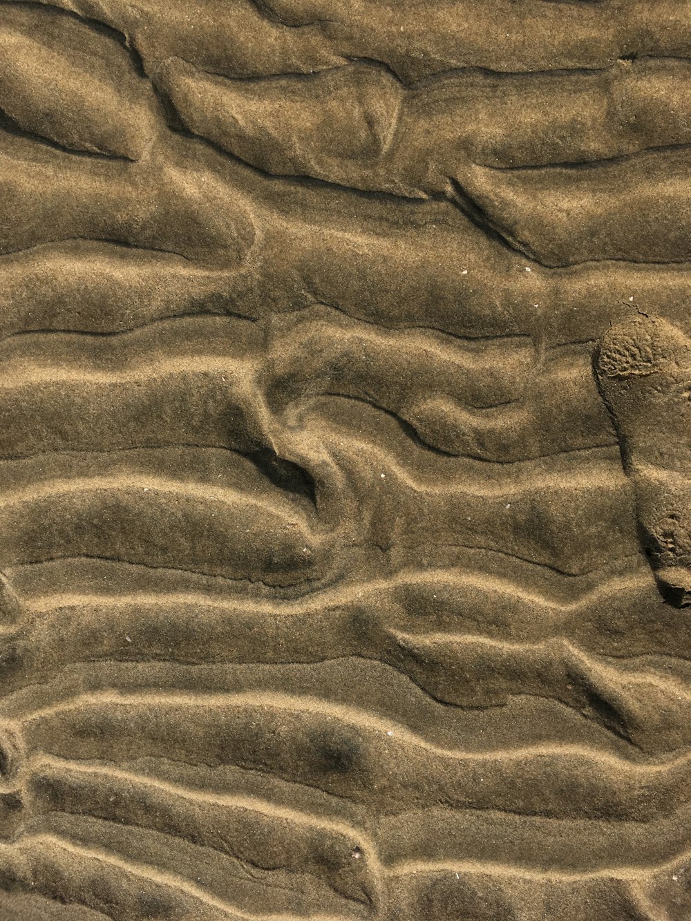 brown sand during daytime