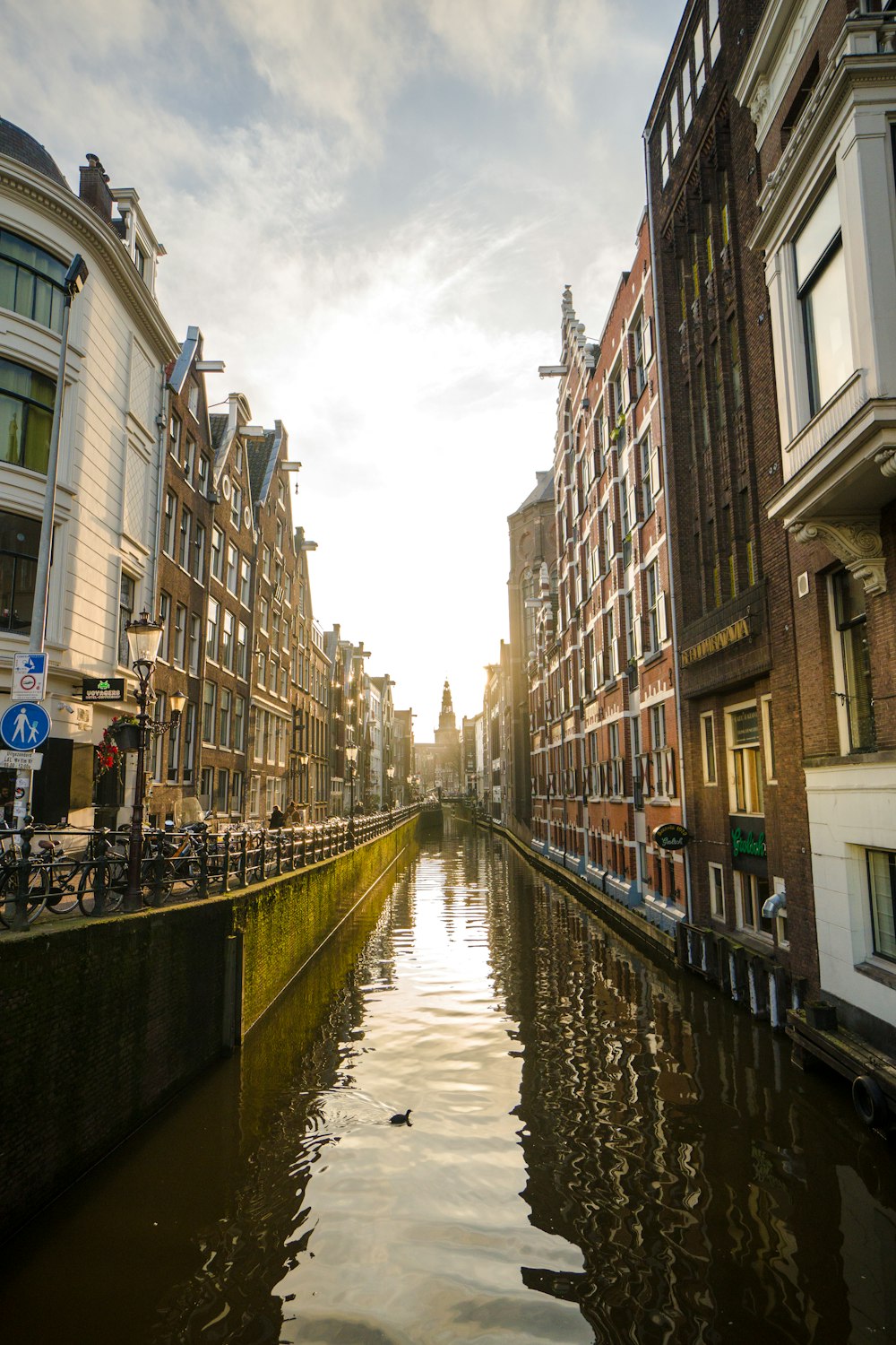 buildings near body of water