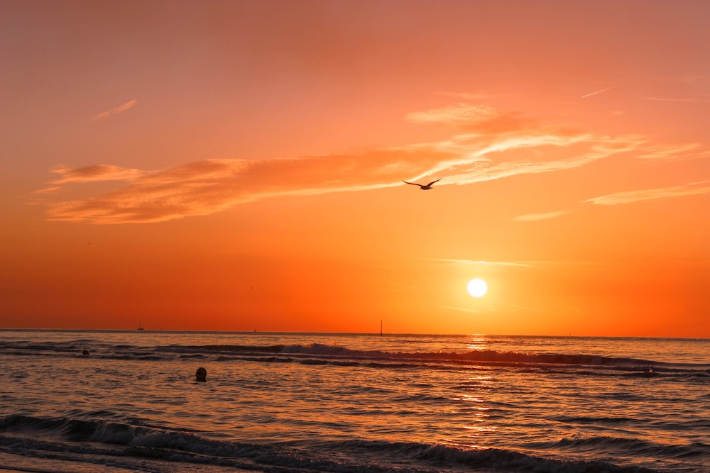 Un pájaro volando sobre el océano al atardecer