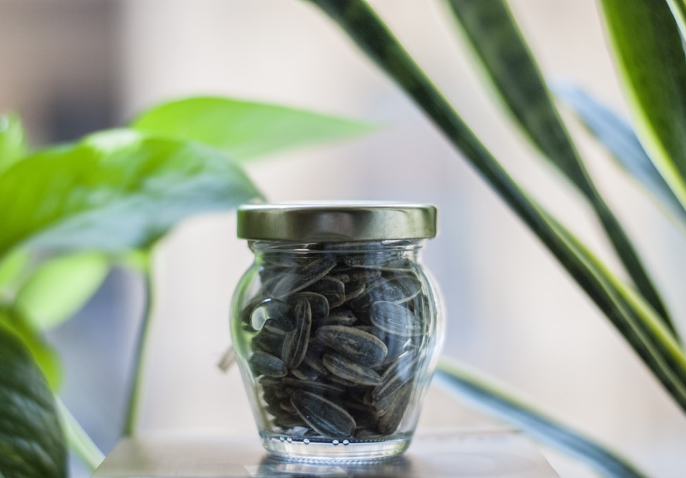 clear glass jar with seeds