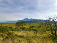 A panoramic view of the vast African savannah under a deep blue sky dotted with golden clouds.