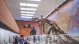 Children and adults exploring the café’s interactive fossil and dinosaur exhibits.