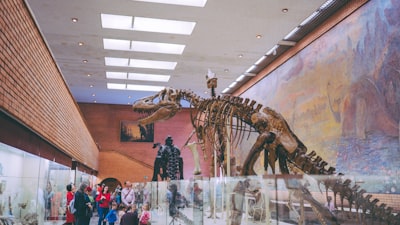 people standing near dinosaur skeleton dinosaur zoom background