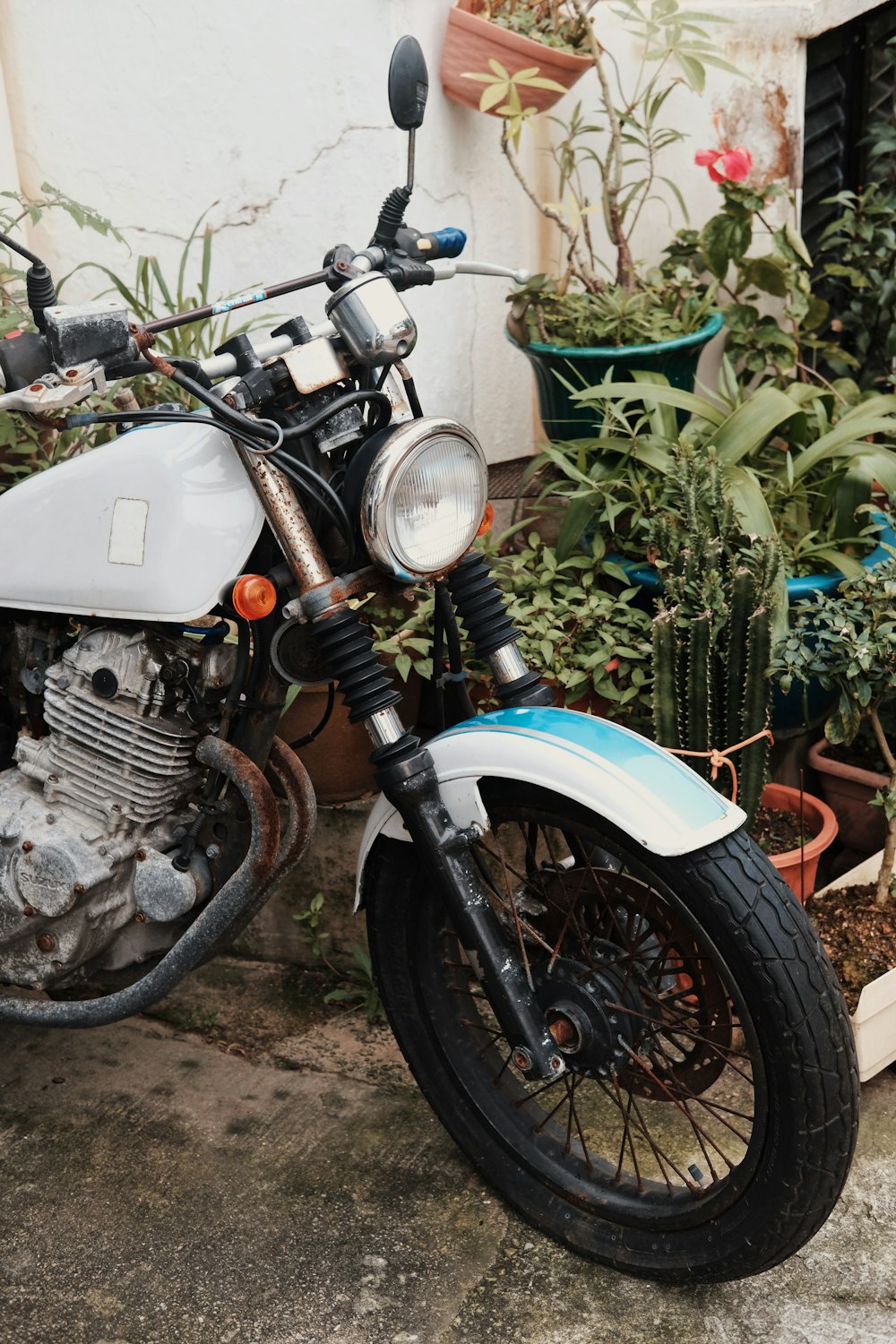 white standard motorcycle beside plants