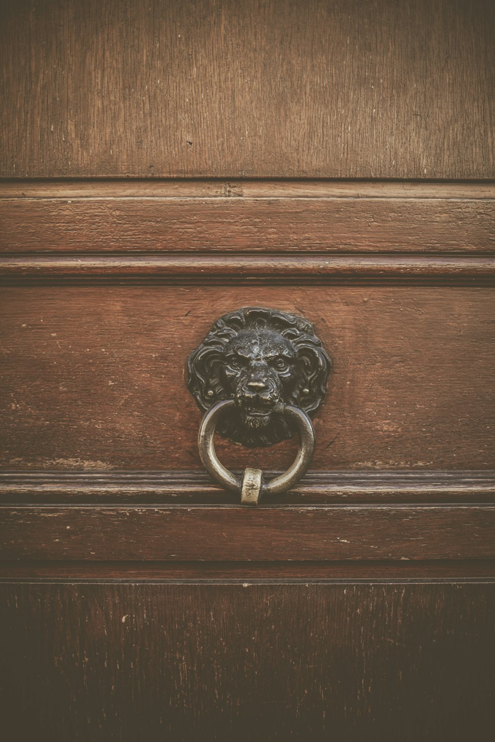 brown metal lion door knocker