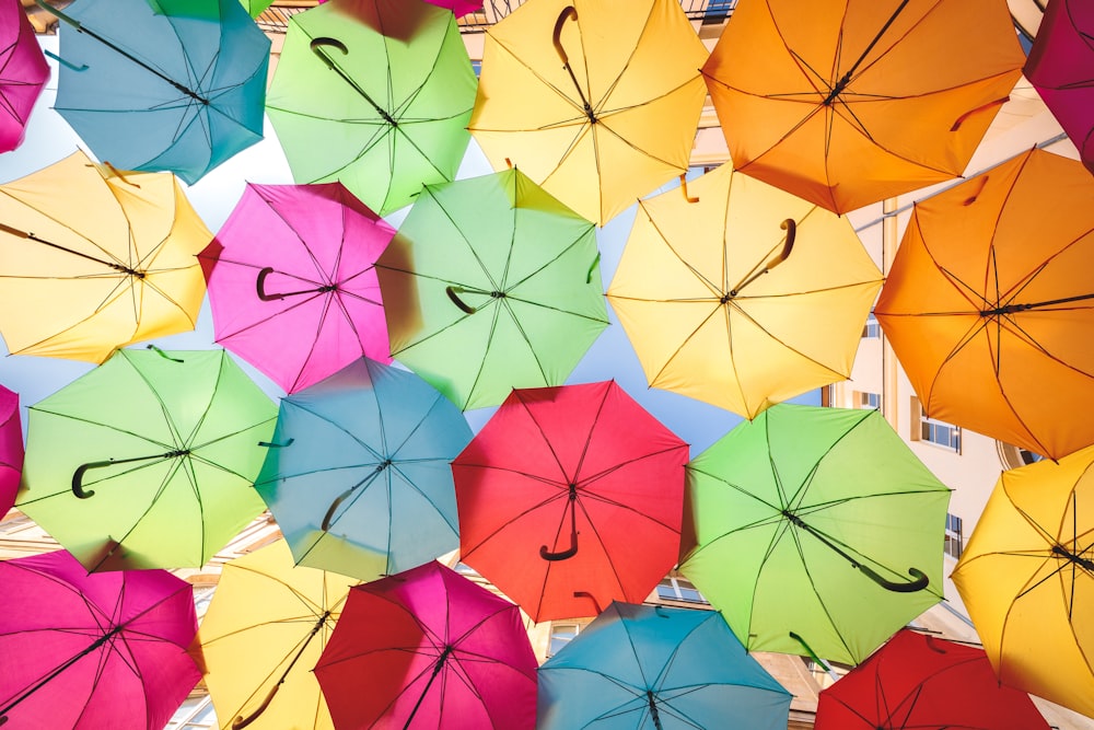 여러가지 색깔의 우산 부지