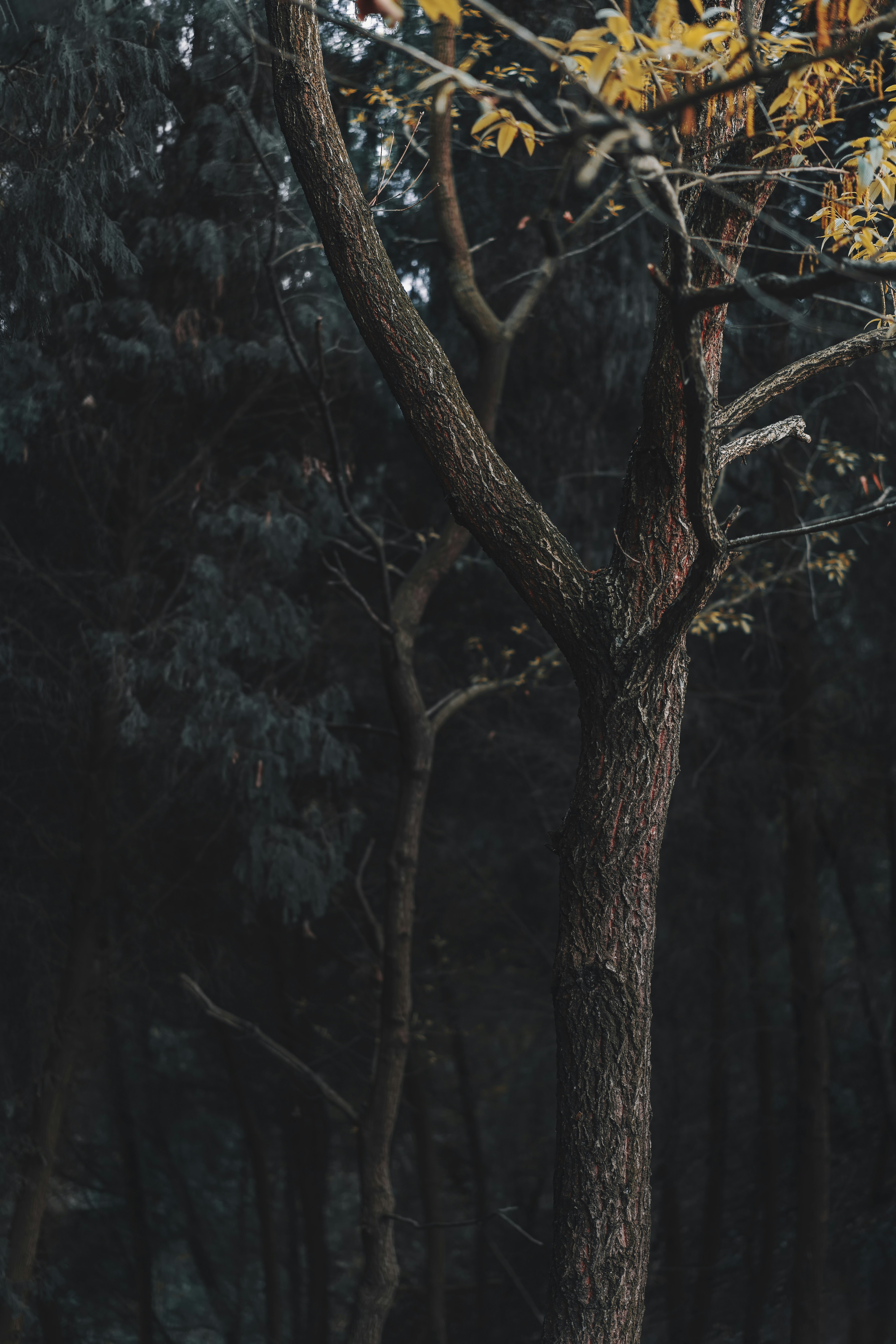 Photo by chengfengrecord