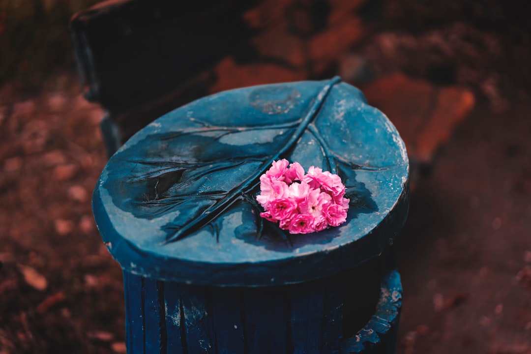 pink flower on top of green tin can