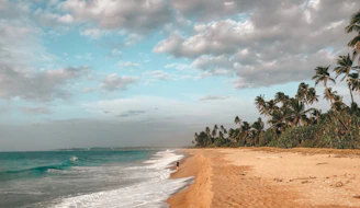 A tropical beach resort with palm trees and golden sand under a sunset sky.