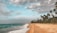 A tropical beach scene with golden sand stretching along the coast and gentle waves lapping at the shore. Tall palm trees line the edge of the beach, swaying slightly in the breeze. The sky is partly cloudy with patches of blue peeking through.
