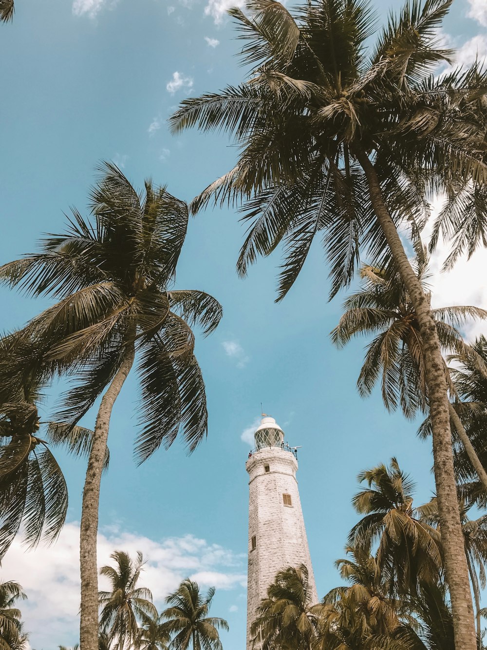 low angle photo of lighthouse tower surrounded by palm trees under blue sky during daytime
