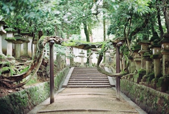 A serene pathway with stone lanterns lined along the sides, surrounded by dense greenery. An ancient tree branch, covered in moss, arches over the pathway. The scene conveys a sense of tranquility and age-old tradition, with steps leading further into the lush forest.