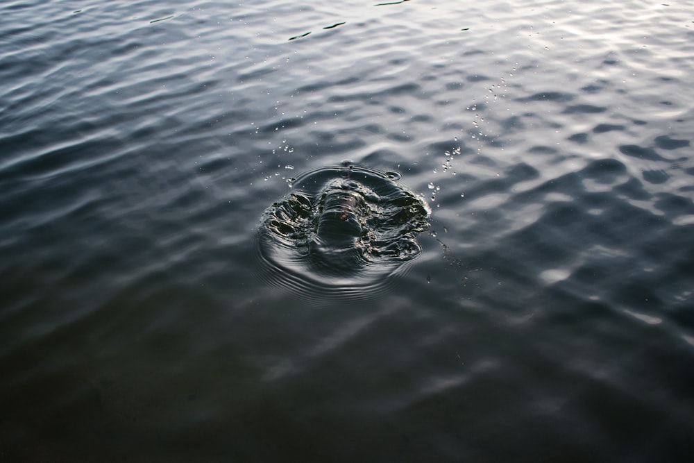 a large body of water with a small amount of water in it