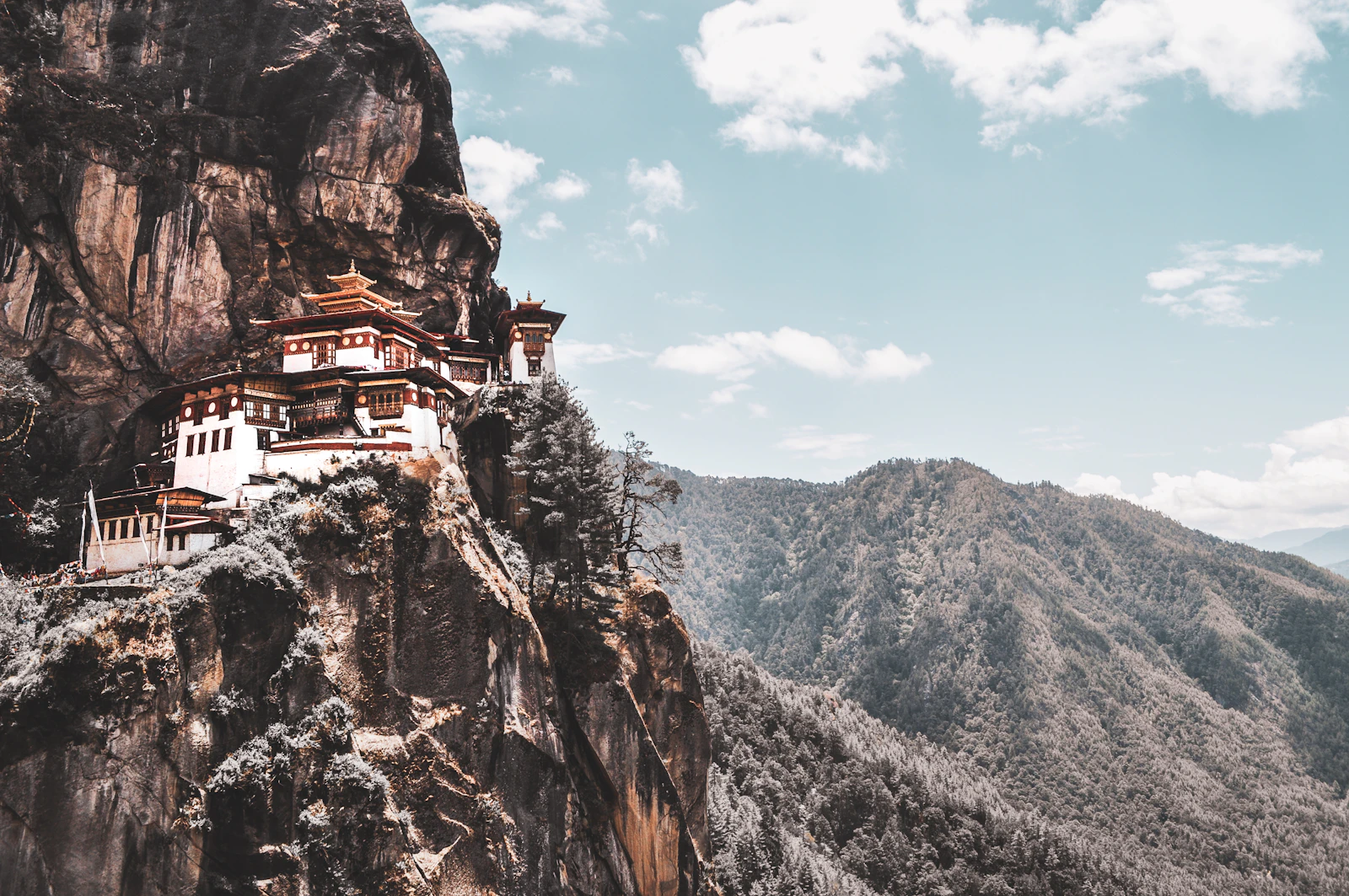 Paro Taktsang, the Tiger's Nest, on its granite cliff seen level across the gorge from the trail, pine forest falling away below