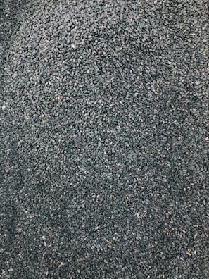 A close-up of high-quality seeds ready for planting.