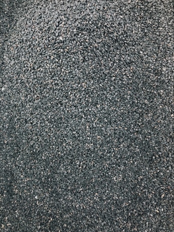A close-up view of numerous small, dark seeds spread evenly across the entire frame.