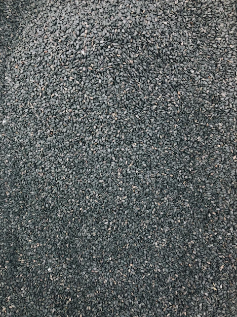 Close-up of vibrant pepper seeds spilling from a rustic wooden scoop onto rich soil.