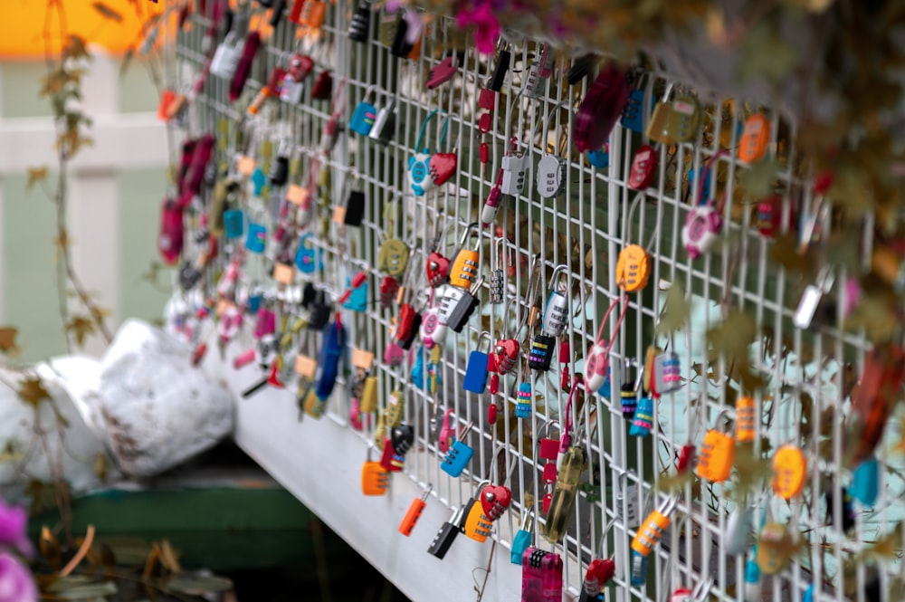 assorted-color padlocks