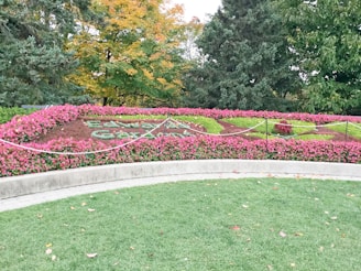 A garden area with manicured floral arrangements, including pink and green plants, is surrounded by neatly trimmed grass. Behind the garden is a mix of autumnal trees with foliage in shades of green and orange. A curved stone path is visible in the foreground, and a black rope barrier runs along the edge of the garden.