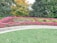 A garden area with manicured floral arrangements, including pink and green plants, is surrounded by neatly trimmed grass. Behind the garden is a mix of autumnal trees with foliage in shades of green and orange. A curved stone path is visible in the foreground, and a black rope barrier runs along the edge of the garden.
