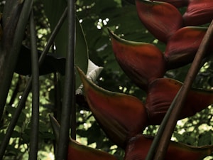 Emerald Orchid Jewel