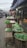A bustling street market with numerous stalls displaying a variety of fresh vegetables including lettuce, cabbage, and other leafy greens. Vendors are present, and the atmosphere is lively with people walking by. The market is set under large tarps, providing shade and some lighting is visible, giving a cozy yet vibrant ambiance.