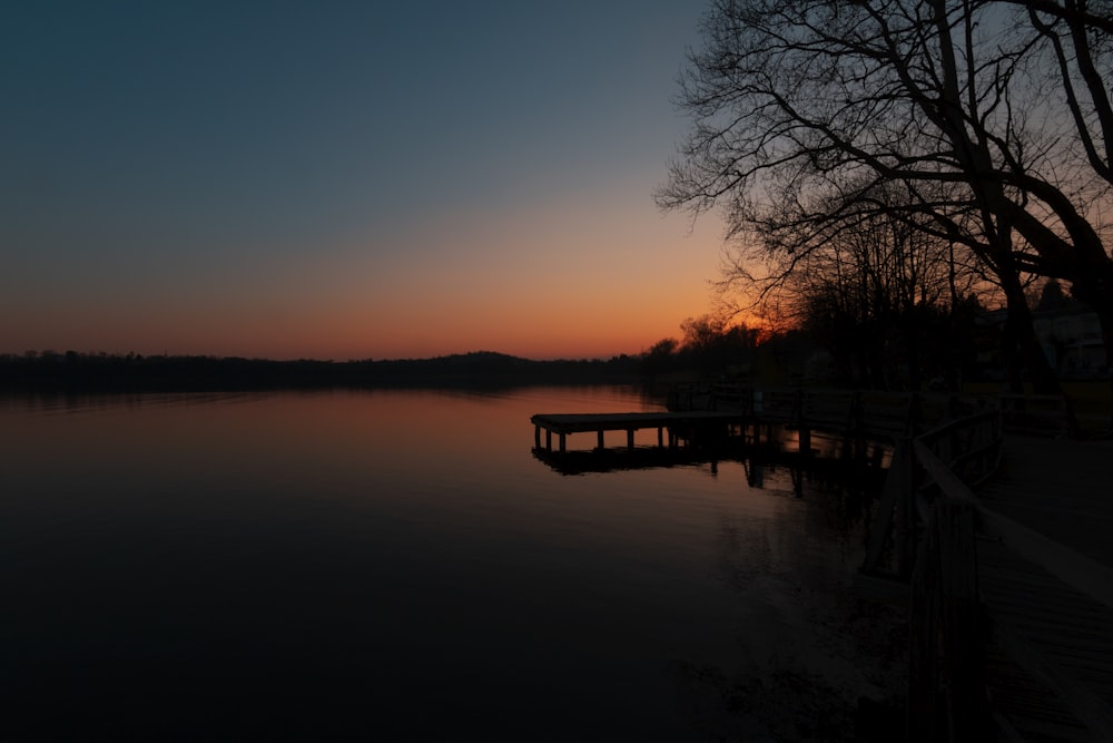 silhouette photo of lake beside tree