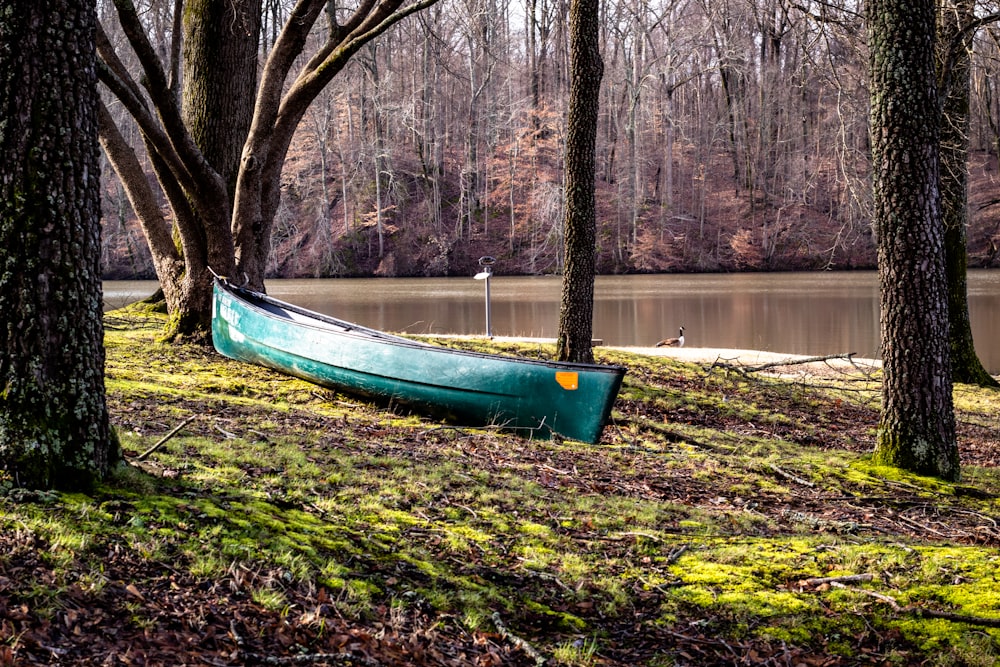 blue canoe boat beside body of water