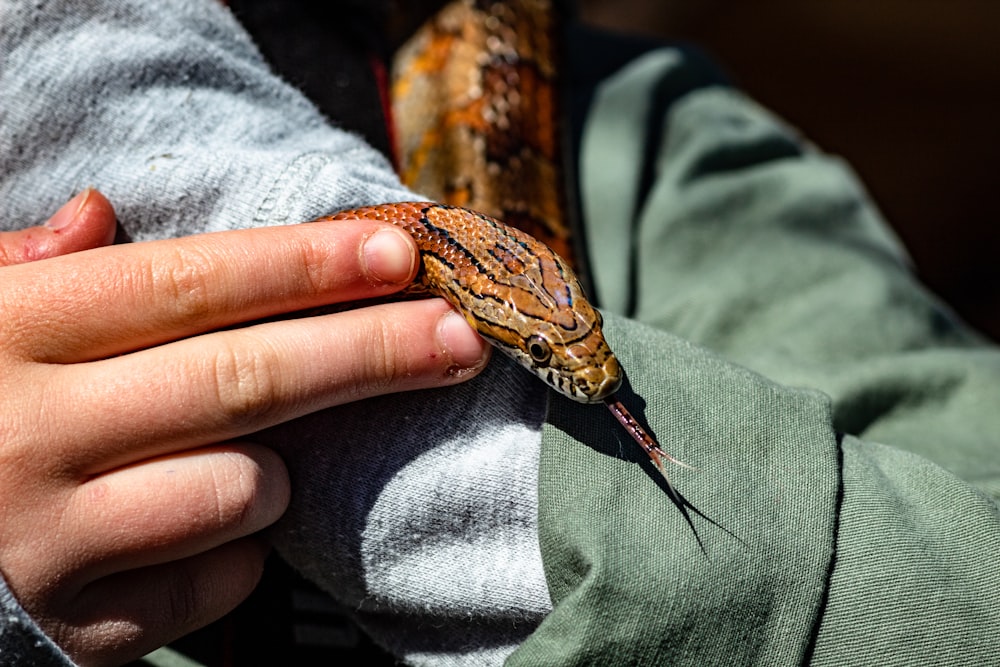 um close up de uma pessoa segurando uma cobra