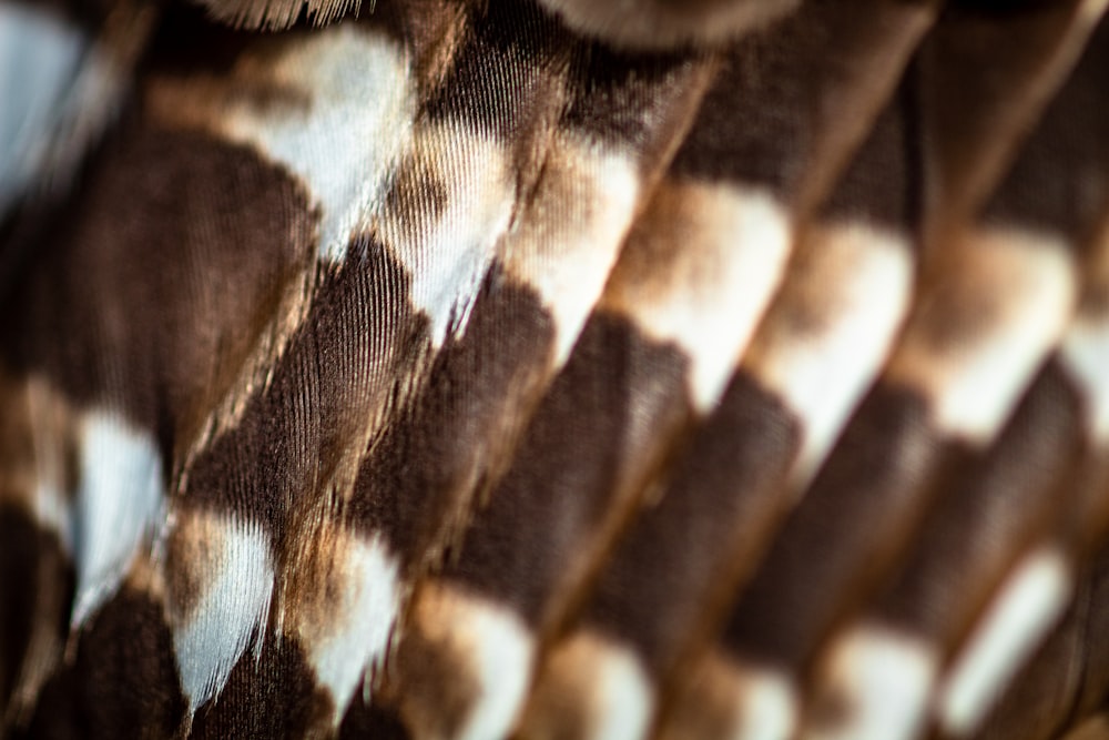 brown and white textile