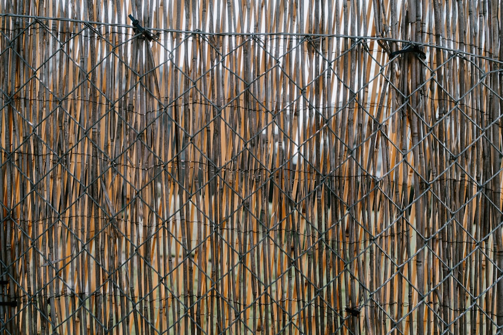 chain link fence