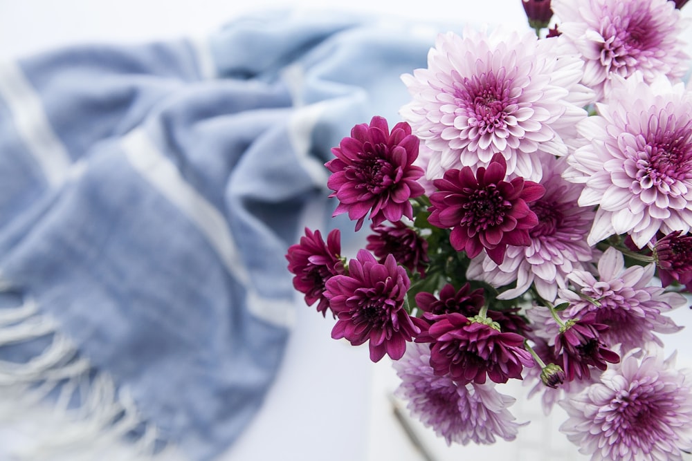 white and purple-petaled flowers