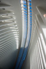 A dynamic scene from a 3D walkthrough showing a contemporary interior with natural light streaming in.