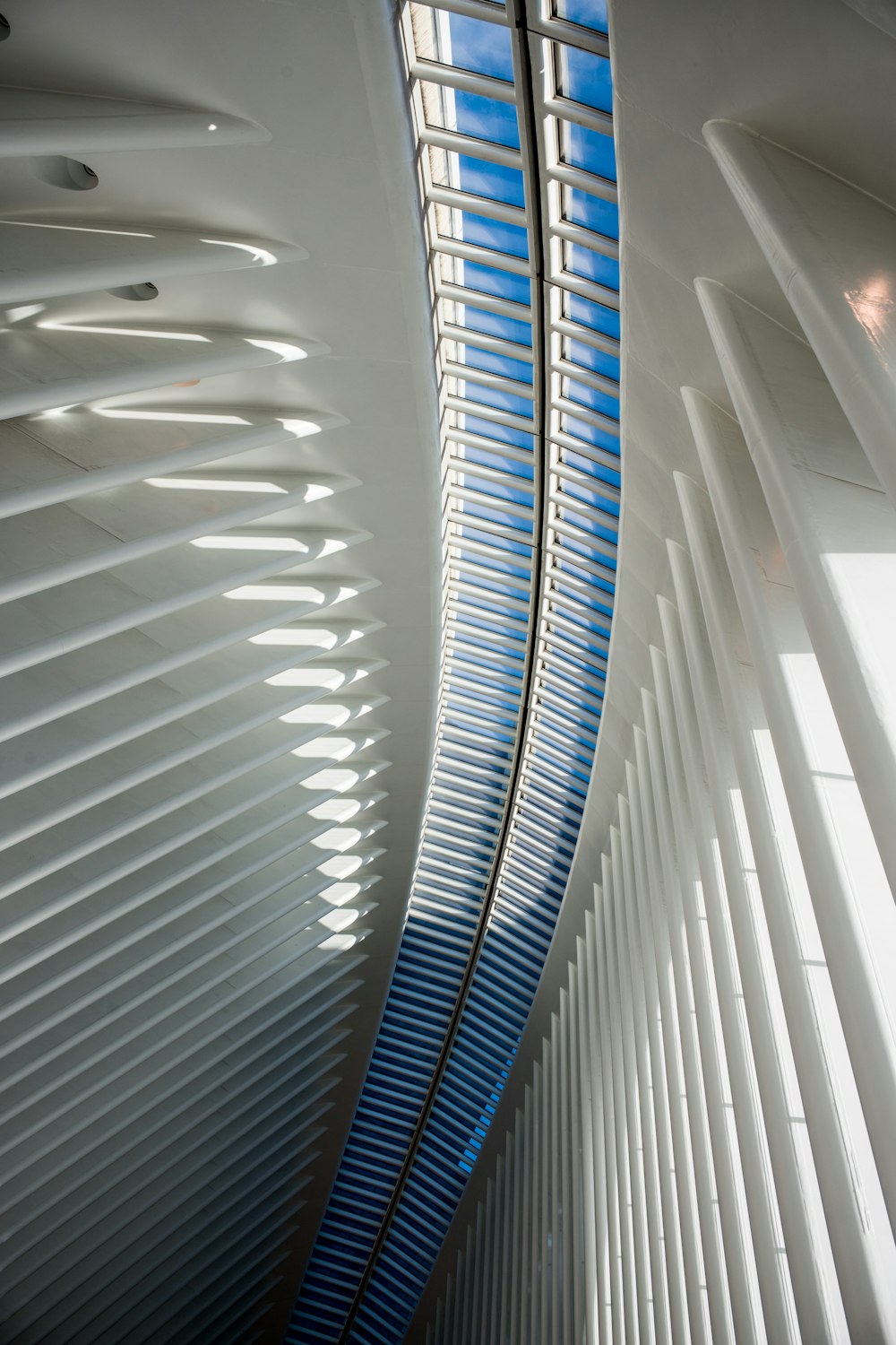 the ceiling of a large building with a skylight