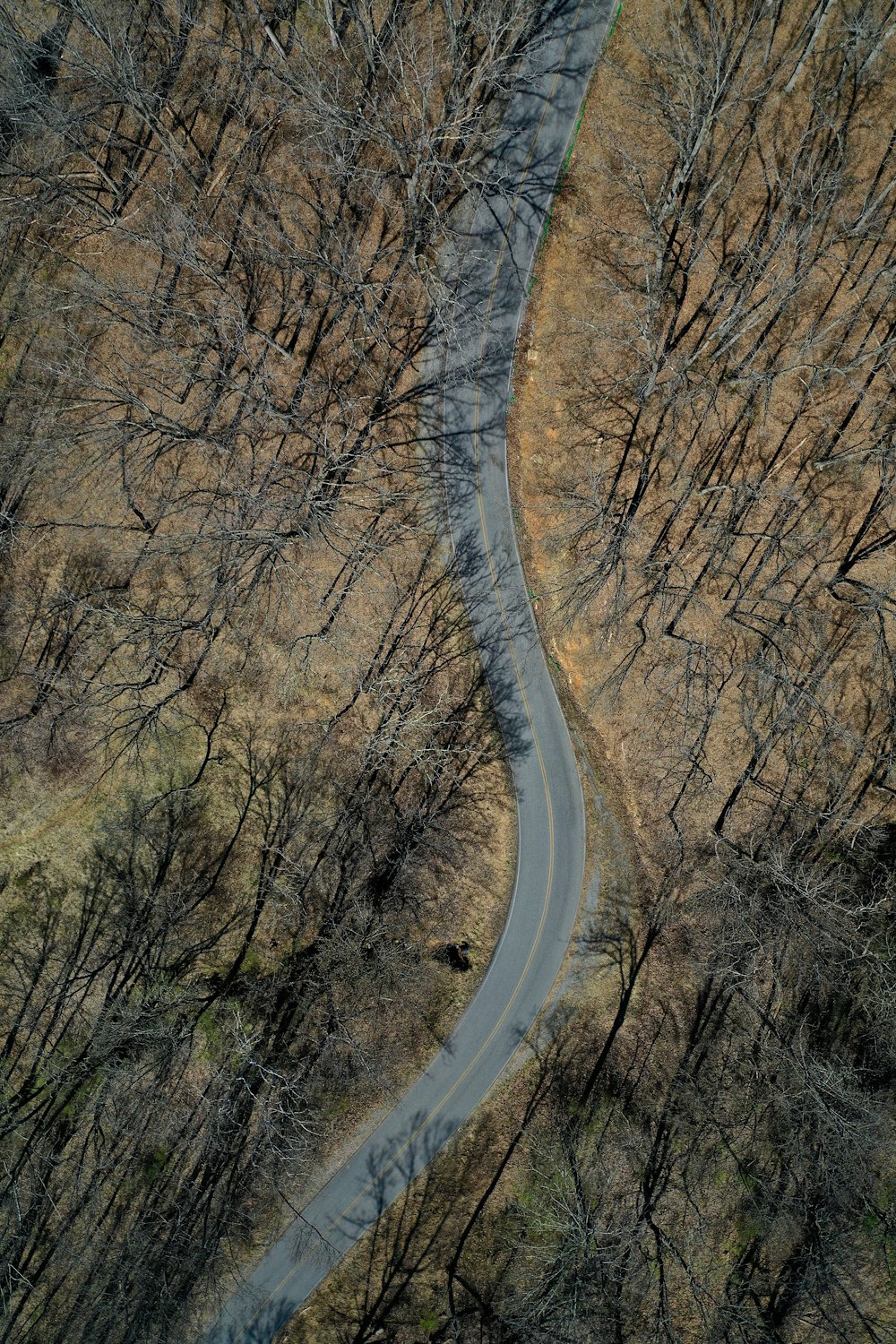 aerial photography of road