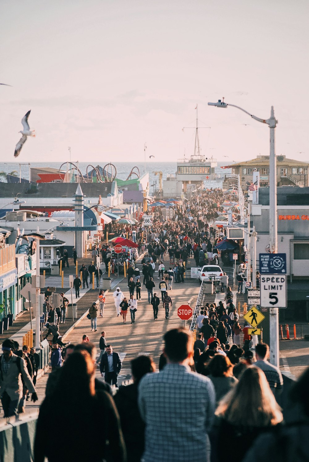 people gathering near ship