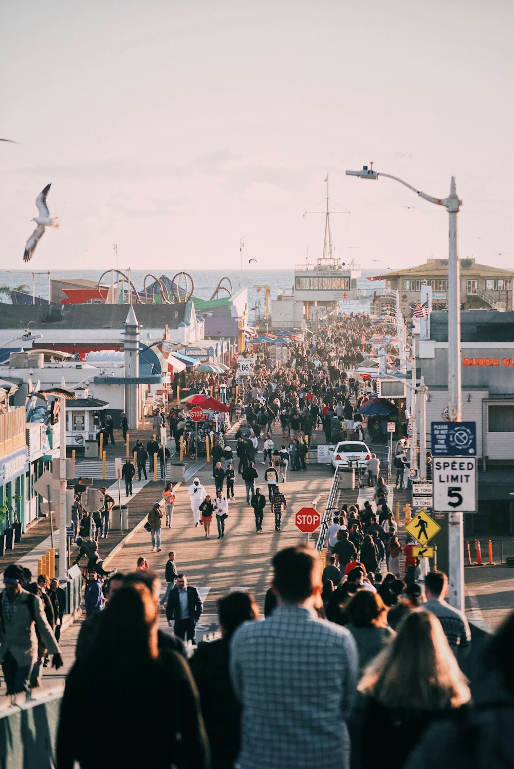 people gathering near ship