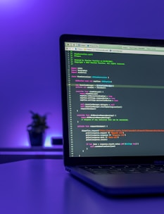 gray laptop computer turned on