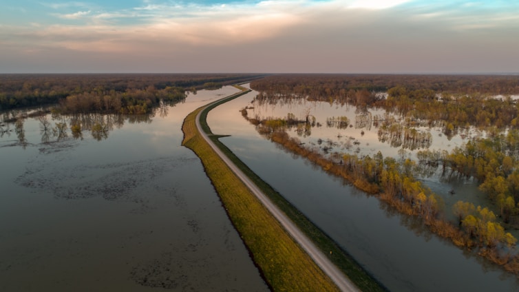 bird's eye view of river