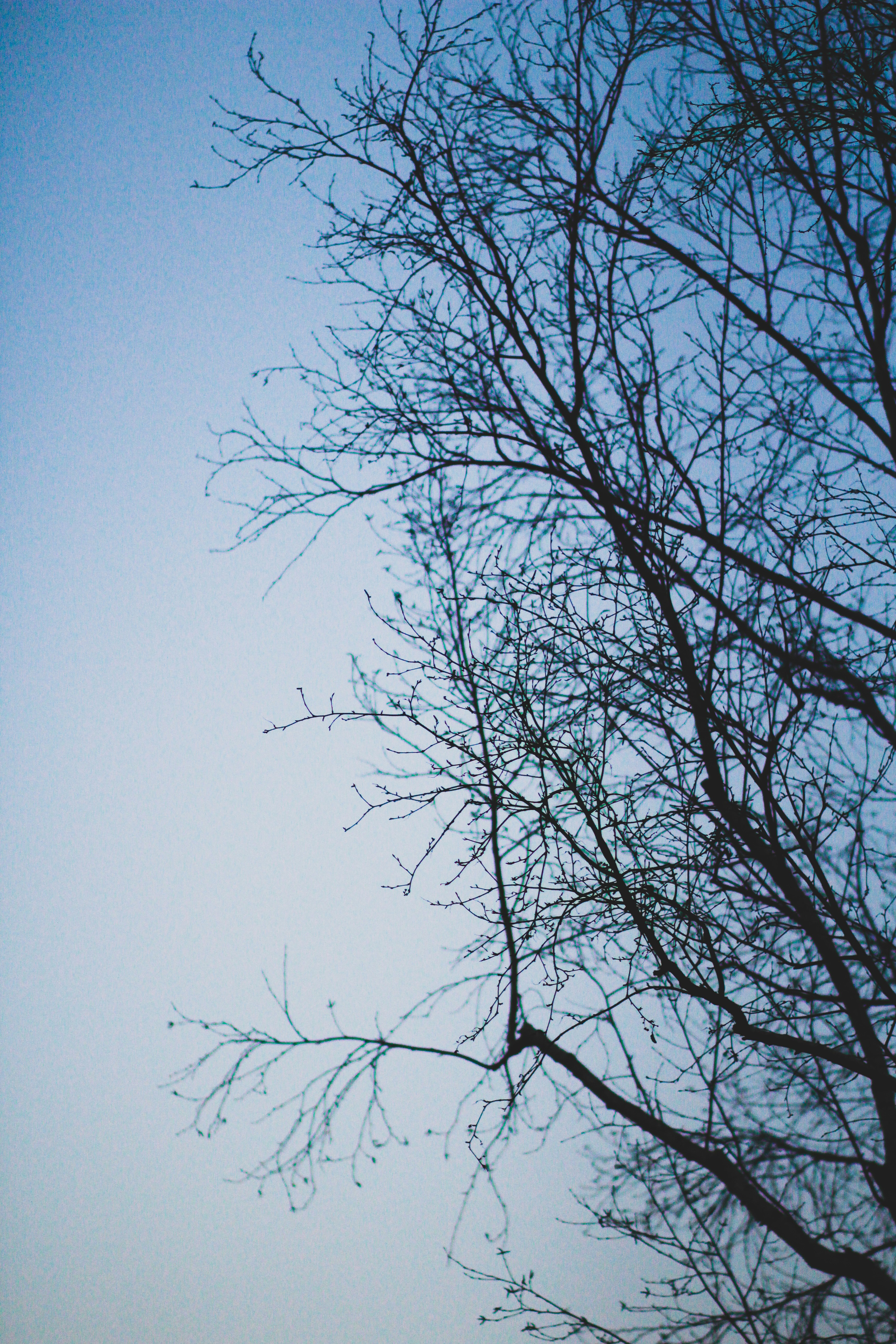 Photo by meghanschiereck