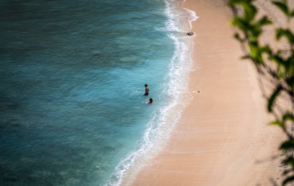 white sand beach