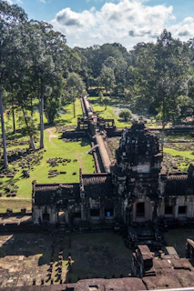 Ancient temple ruins nestled in dense jungle, bathed in morning light.