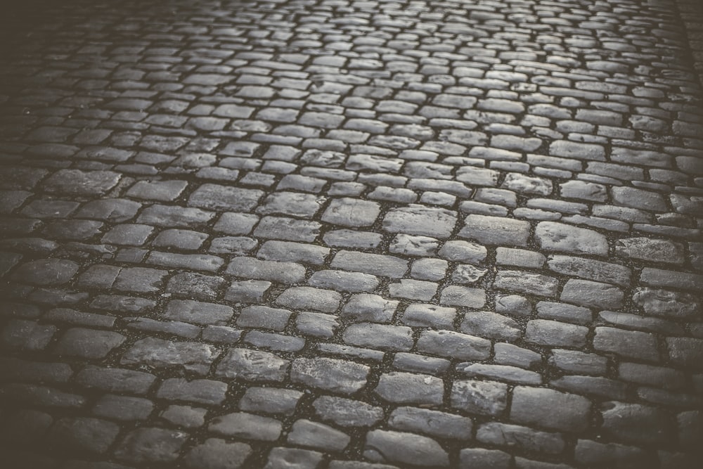 grayscale photography of bricked pavement