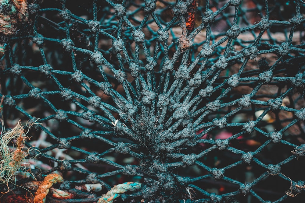 blue braided rope