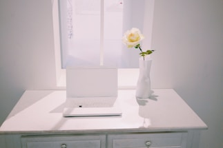 A minimalist black and white photo of a woman writing a message on a sleek laptop, with a soft splash of color from a nearby flower.