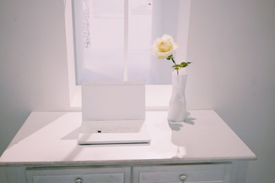 A minimalist scene with a predominantly white color scheme features a small white laptop placed on a white surface. Beside the laptop is a tall white vase holding a single white rose with green leaves. Soft light creates gentle shadows and emphasizes the clean, simple aesthetic of the arrangement.
