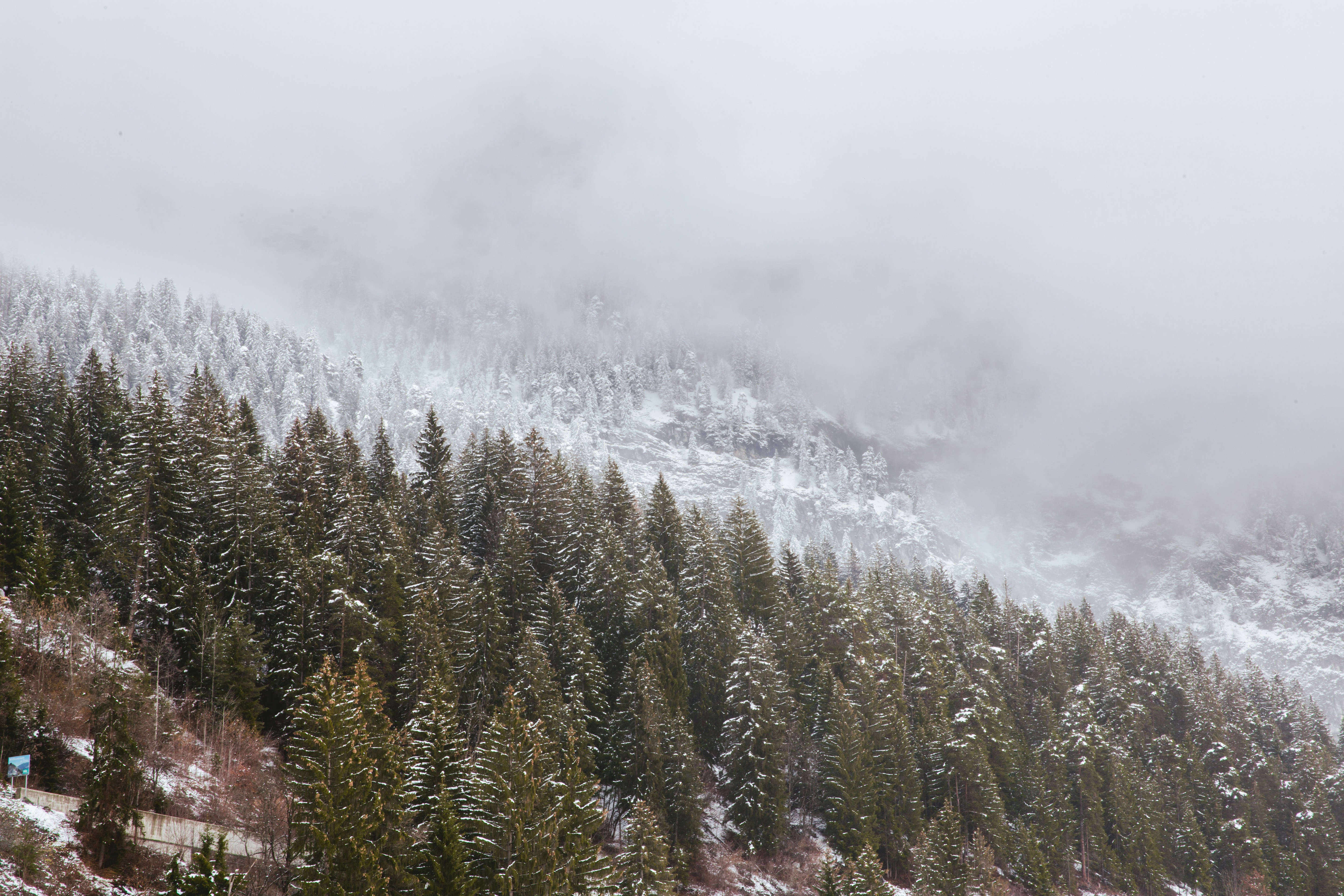 Photo by lighttouchedphotography