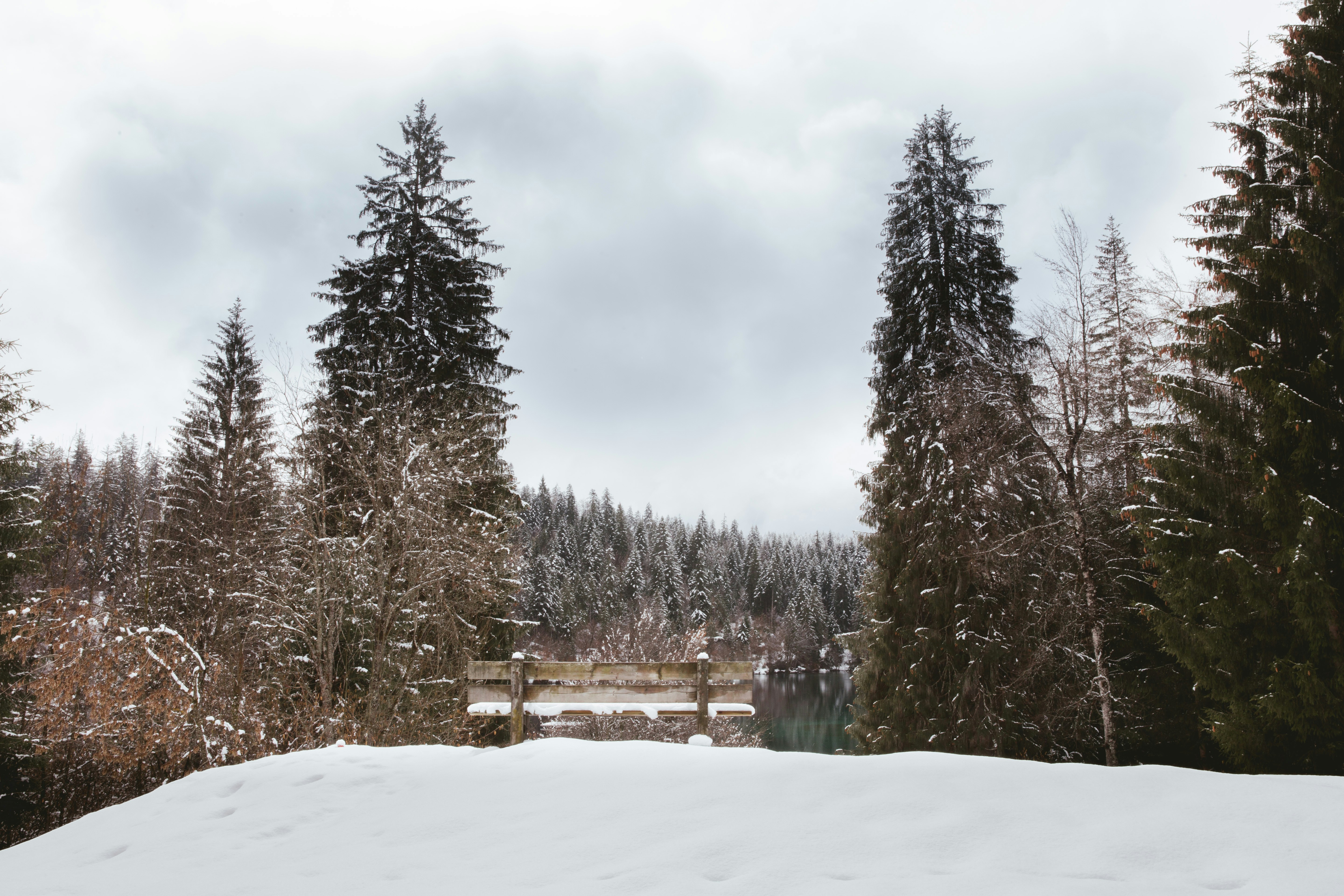 Photo by lighttouchedphotography