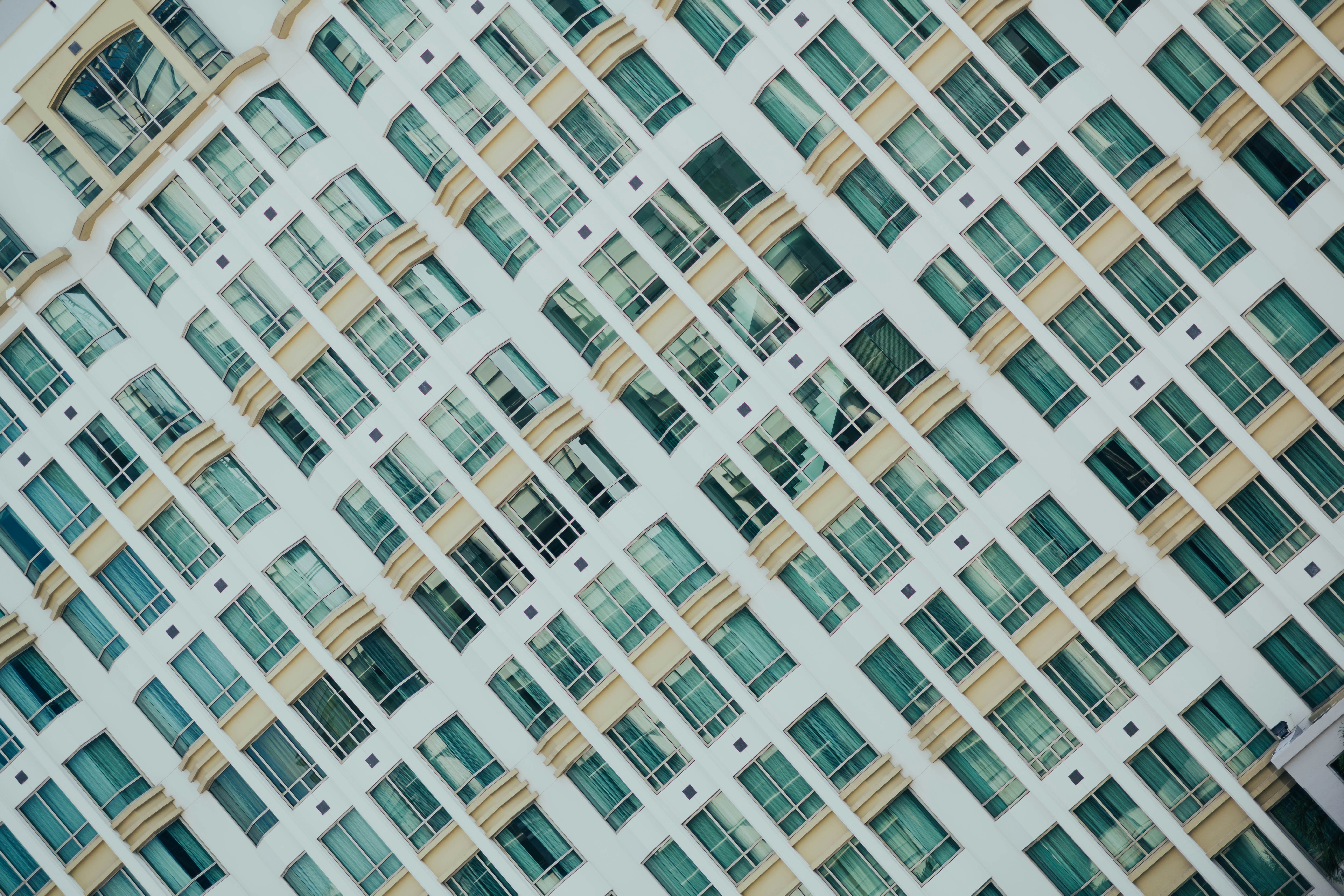 Photo by chuttersnap