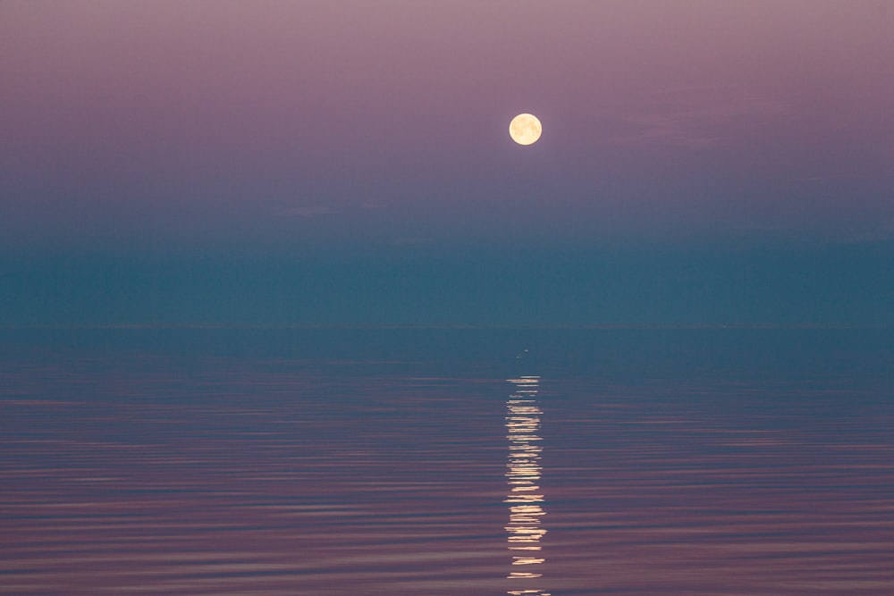 body of water showing full moon